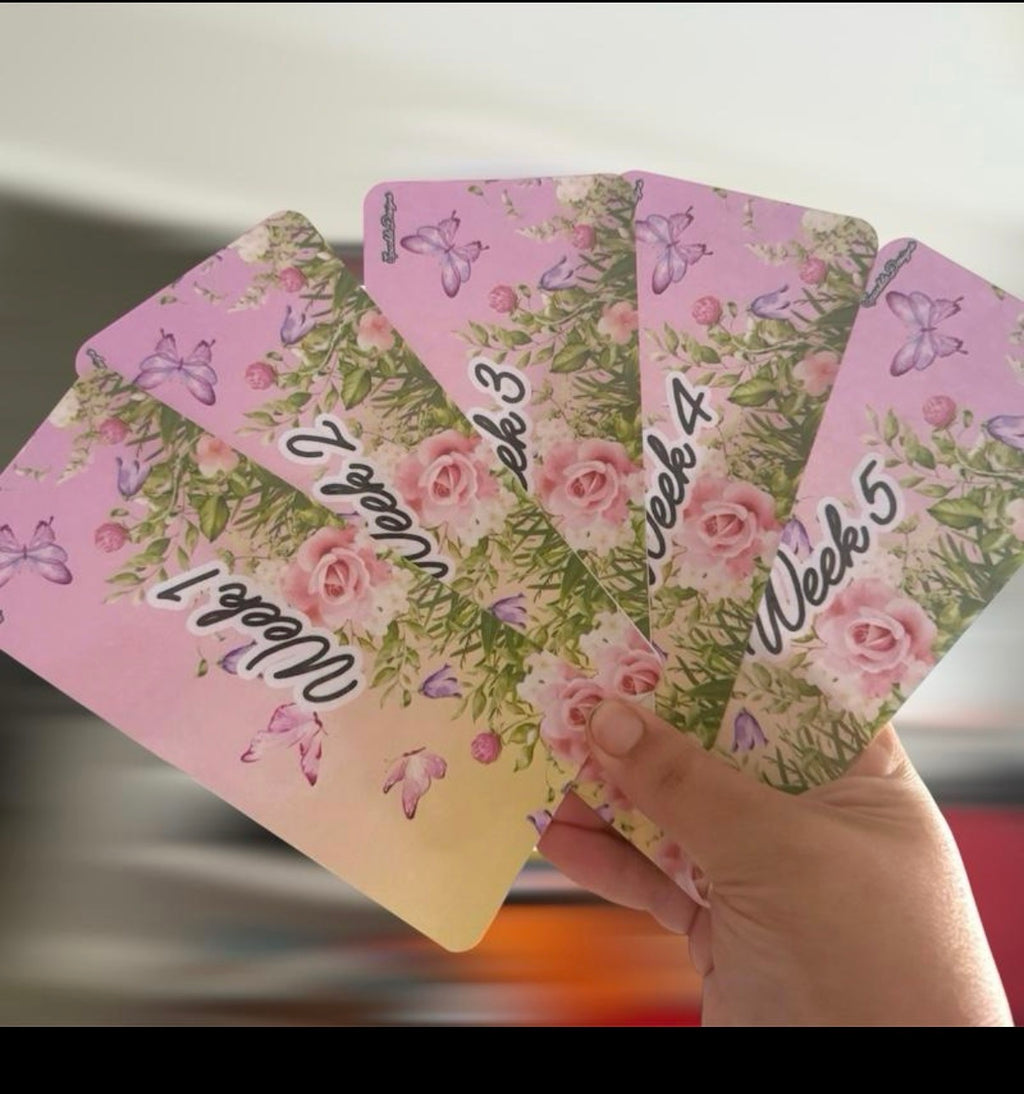 Week 1 to 5 wallets - vinyl or inserts - lots of designs available