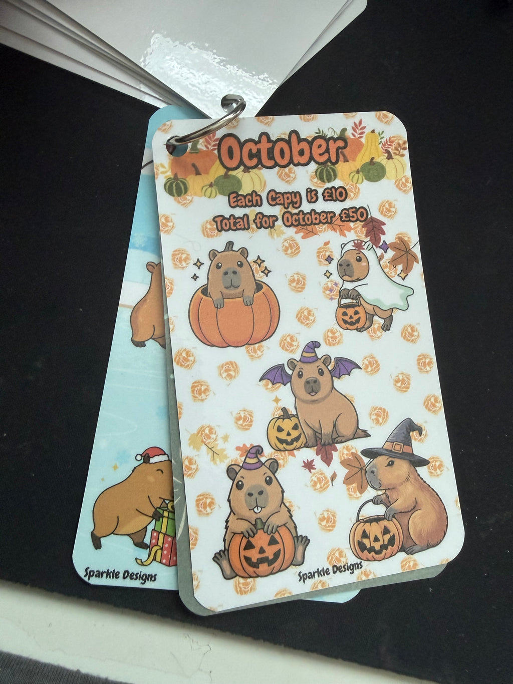 Cute capybara monthly saving challenge tracker - ring tracker - saves £600