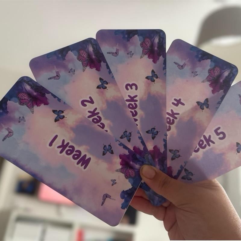 Variety of Week 1-5 Inserts for Sinking Funds Binders Can Come with Wallets to Complete the Set Featuring varied Designs
