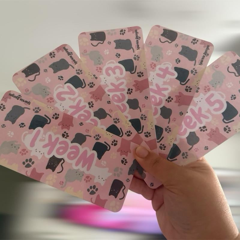 Variety of Week 1-5 Inserts for Sinking Funds Binders Can Come with Wallets to Complete the Set Featuring varied Designs