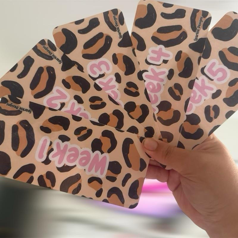 Variety of Week 1-5 Inserts for Sinking Funds Binders Can Come with Wallets to Complete the Set Featuring varied Designs